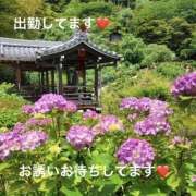 ヒメ日記 2026/06/29 13:03 投稿 みやこ 完熟とまと(十三)