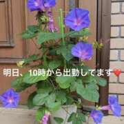 ヒメ日記 2026/07/12 12:32 投稿 みやこ 完熟とまと(十三)