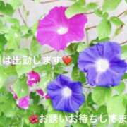 ヒメ日記 2026/08/02 14:08 投稿 みやこ 完熟とまと(十三)