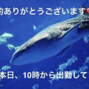 ヒメ日記 2026/08/03 09:34 投稿 みやこ 完熟とまと(十三)
