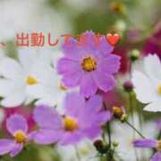 ヒメ日記 2026/08/17 10:16 投稿 みやこ 完熟とまと(十三)