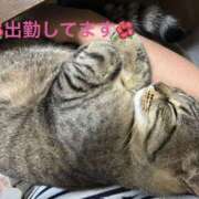 ヒメ日記 2026/08/24 13:11 投稿 みやこ 完熟とまと(十三)