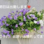 みやこ 明日、10時から出勤してます❤️ 完熟とまと(十三)