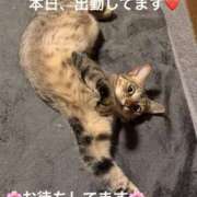 みやこ 本日は出勤してます❤️ 完熟とまと(十三)
