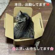 みやこ 本日、出勤してます❤️ 完熟とまと(十三)