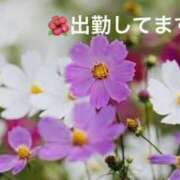 ヒメ日記 2026/09/18 12:20 投稿 みやこ 完熟とまと(十三)