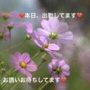 ヒメ日記 2026/10/05 11:06 投稿 みやこ 完熟とまと(十三)