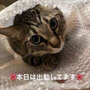 ヒメ日記 2026/10/13 10:16 投稿 みやこ 完熟とまと(十三)