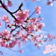 ヒメ日記 2025/04/10 10:37 投稿 しずき 錦糸町人妻ヒットパレード（シンデレラグループ）