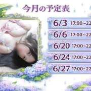 ひかる 予定表♡ なでし娘