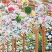 シオリ 8月前半?? マテリアル