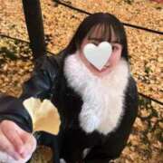 シオリ 12月? マテリアル