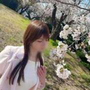 ヒメ日記 2025/04/19 23:59 投稿 ゆえ MONTE(モンテ)