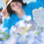 ヒメ日記 2025/05/06 16:51 投稿 ゆえ MONTE(モンテ)