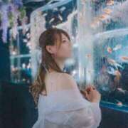 ヒメ日記 2025/09/04 17:06 投稿 ゆえ MONTE(モンテ)