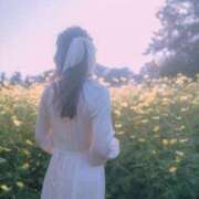 ヒメ日記 2025/09/19 13:12 投稿 ゆえ MONTE(モンテ)