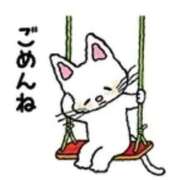 ヒメ日記 2025/11/19 10:20 投稿 のあ 渋谷角海老