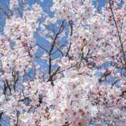 ヒメ日記 2025/03/28 10:35 投稿 まいか先生 女教師