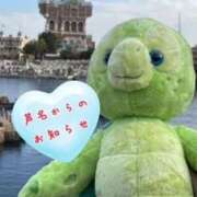 ヒメ日記 2025/03/18 23:42 投稿 芦名 希(あしなのぞみ) 五十路マダムエクスプレス厚木店(カサブランカグループ)