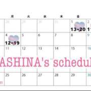 ヒメ日記 2025/07/31 13:16 投稿 芦名 希(あしなのぞみ) 五十路マダムエクスプレス厚木店(カサブランカグループ)