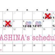 ヒメ日記 2025/08/05 12:58 投稿 芦名 希(あしなのぞみ) 五十路マダムエクスプレス厚木店(カサブランカグループ)