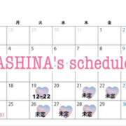 ヒメ日記 2025/08/16 16:30 投稿 芦名 希(あしなのぞみ) 五十路マダムエクスプレス厚木店(カサブランカグループ)