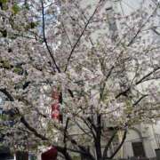 ヒメ日記 2025/04/11 14:00 投稿 【あねら】エロい体の変態生徒 コーチと私と、ビート板･･･