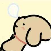 ヒメ日記 2026/02/12 09:19 投稿 みき 妻天 尼崎店