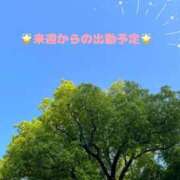 ヒメ日記 2025/04/18 21:11 投稿 森川 BBW横浜店