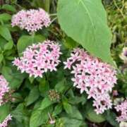 ヒメ日記 2025/04/19 09:05 投稿 森川 BBW横浜店