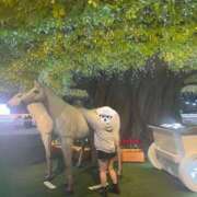 ヒメ日記 2025/12/26 11:31 投稿 森川 BBW横浜店