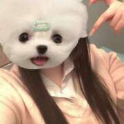 ヒメ日記 2025/03/31 00:12 投稿 める アイドルチェッキーナ本店