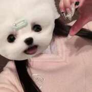 ヒメ日記 2025/04/06 23:52 投稿 める アイドルチェッキーナ本店