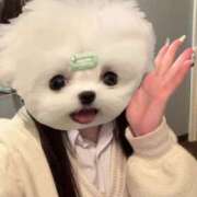 ヒメ日記 2025/04/18 11:52 投稿 める アイドルチェッキーナ本店