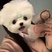 ヒメ日記 2025/04/23 15:22 投稿 める アイドルチェッキーナ本店