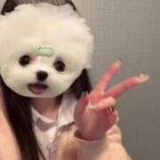 ヒメ日記 2025/04/27 10:03 投稿 める アイドルチェッキーナ本店