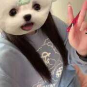 ヒメ日記 2025/05/05 07:50 投稿 める アイドルチェッキーナ本店