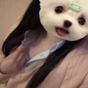 ヒメ日記 2025/05/10 11:42 投稿 める アイドルチェッキーナ本店