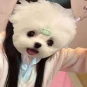 ヒメ日記 2025/05/11 08:54 投稿 める アイドルチェッキーナ本店