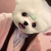 ヒメ日記 2025/05/12 19:22 投稿 める アイドルチェッキーナ本店