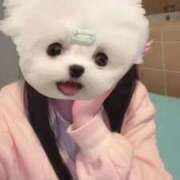 ヒメ日記 2025/05/15 10:02 投稿 める アイドルチェッキーナ本店