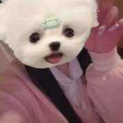 ヒメ日記 2025/05/22 11:42 投稿 める アイドルチェッキーナ本店