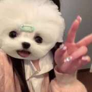 ヒメ日記 2025/05/23 23:32 投稿 める アイドルチェッキーナ本店