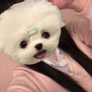 ヒメ日記 2025/06/02 16:04 投稿 める アイドルチェッキーナ本店