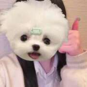 ヒメ日記 2025/06/09 09:03 投稿 める アイドルチェッキーナ本店