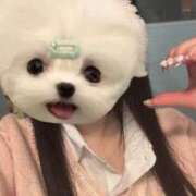 ヒメ日記 2025/06/17 11:32 投稿 める アイドルチェッキーナ本店