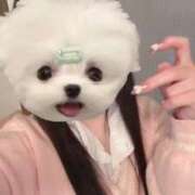 ヒメ日記 2025/06/17 23:42 投稿 める アイドルチェッキーナ本店