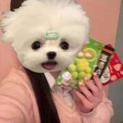 ヒメ日記 2025/06/24 13:22 投稿 める アイドルチェッキーナ本店