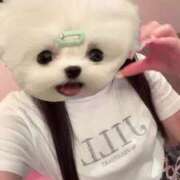 ヒメ日記 2025/07/17 10:03 投稿 める アイドルチェッキーナ本店