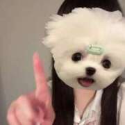 ヒメ日記 2025/07/20 12:52 投稿 める アイドルチェッキーナ本店